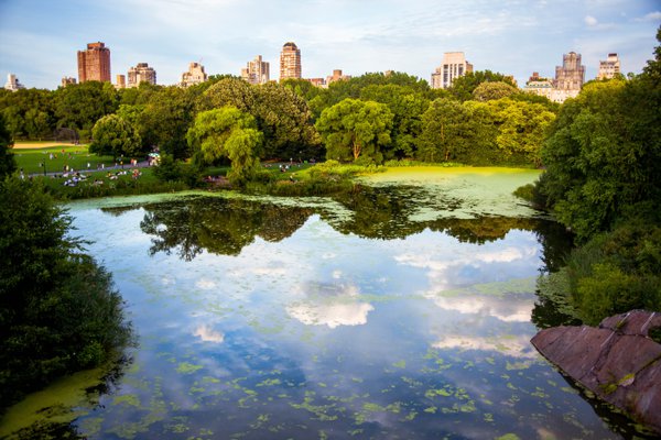 
            Trump International Building, 1 Central Park West, New York, NY, 10023, Lincoln Square NYC Condos        